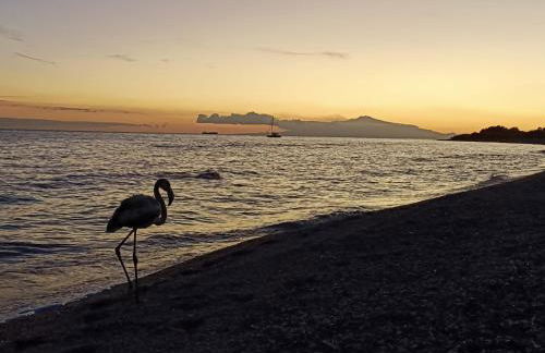 Agave apartments - Foto 9