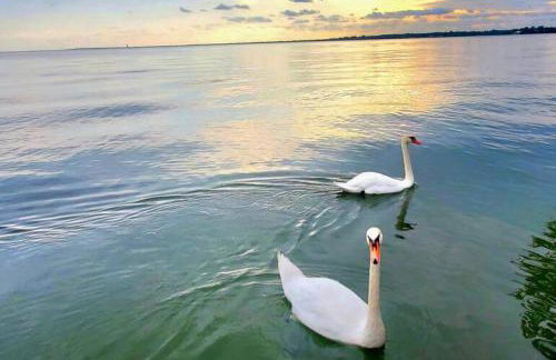 Enjoy Our Lakefront Paradise - Foto 50