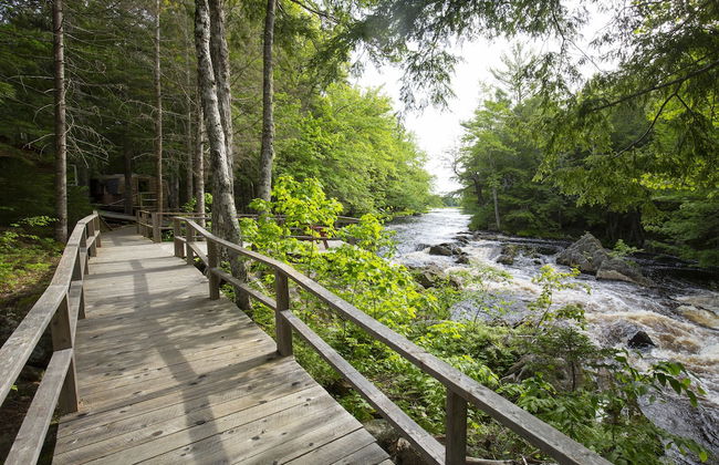 Mersey River Chalets a nature retreat - Foto 51