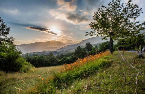 La Casina del Teso - Foto 22