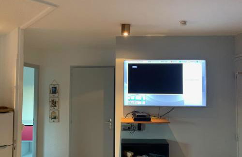 Le Green-Center, 2 pièces en Hyper Centre - Foto 10