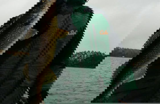 Beautiful Wisconsin Beach Retreat Lake Lucerne - Foto 53