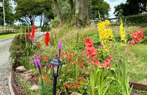 The Cow Shed - Foto 7