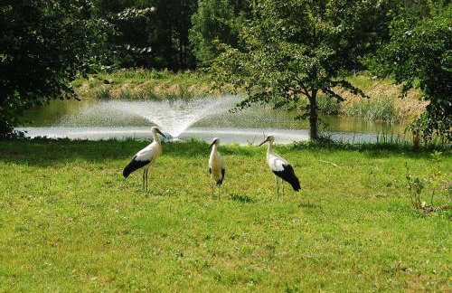 Beautiful holiday home in Masuria on river and lake - Foto 39