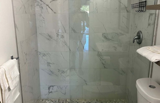 Swiss 53-lake Denise - Photo 12