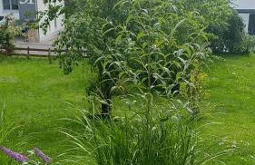 Ferienwohnung Vreni - Foto 5