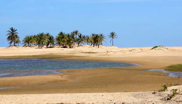 São Francisco River Day Trip - Foto 5