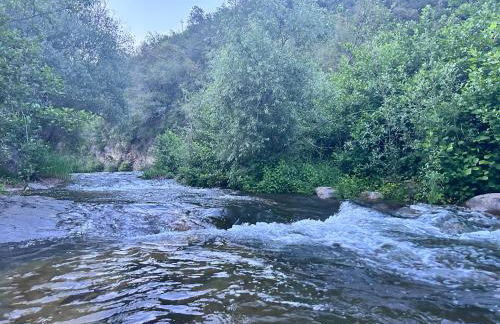 House of artist - Foto 28