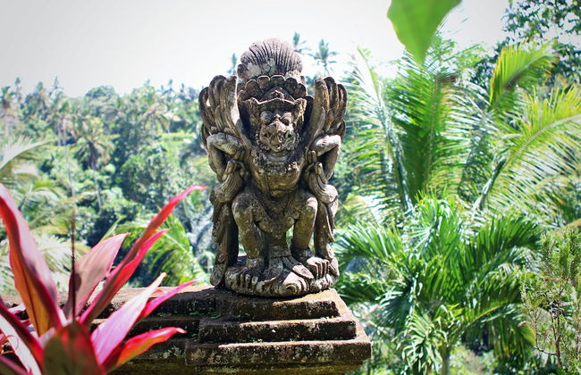 The Mahogany Villa - Foto 68