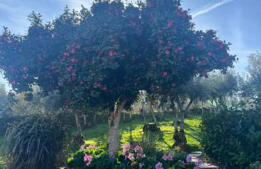 Manor Meeder - Foto 34