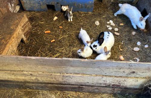 Koperkowe Rancho Beskid Wyspowy Domek Małopolskie KAMIONNA - Foto 3