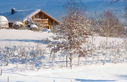 Experience luxury in Mollenberg - Foto 7