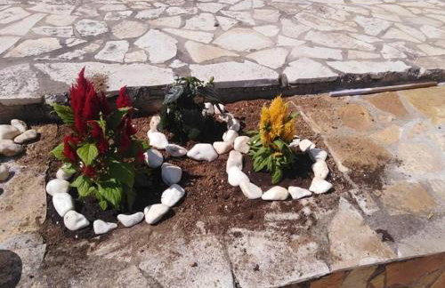 Treasures B&B - Foto 9