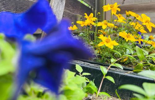 Zwergenstube - Foto 31