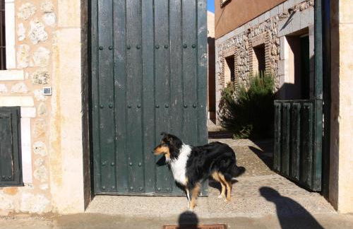 Las casas de Yagüe, Ayllón - Foto 31