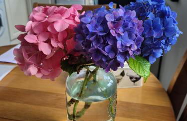 Long Linhay Mortehoe Woolacombe - Foto 20