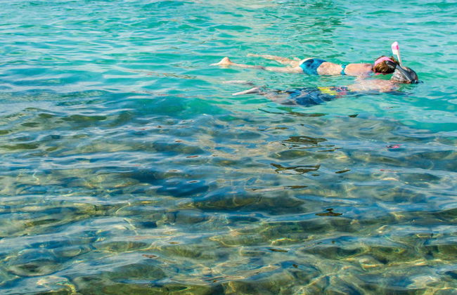 Escursione a Porto de Galinhas - Foto 4