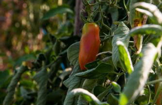 Cascina Veja - Foto 75