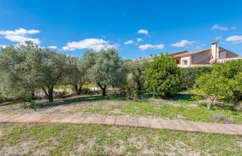 Finca es Rafal, Agroturisme - Foto 32