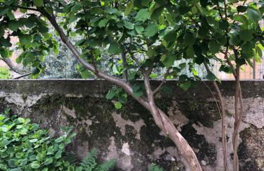 In Riva al Lago di Iseo Residenza Primo Piano - Foto 27