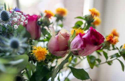 Vitaloase Bad Griesbach im Rottal/70qm/Auszeit/Parkplatz - Foto 25