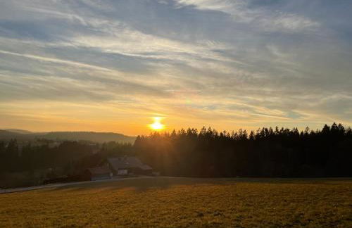 Große Ferienwohnung Hundertwasser am Dreisessel in Altreichenau - Foto 34