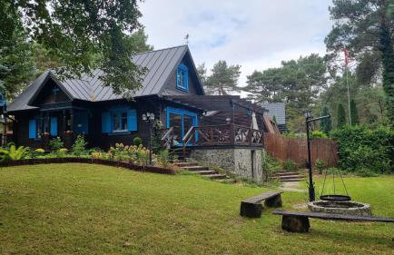 Niezapominajka - Foto 45