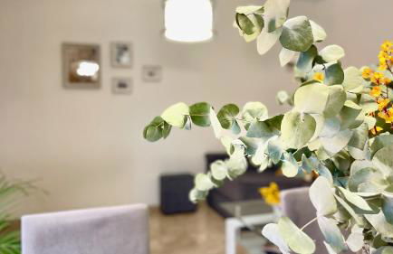 Confort a un paso del Casco Histórico, parking gratis en el mismo edificio - Foto 9