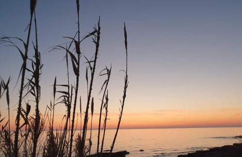 Mediterranean Beach House - Foto 68