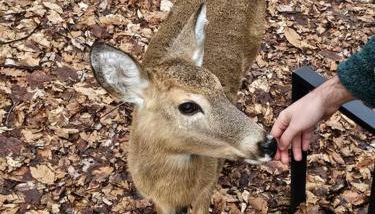 3BR, Lakeview, Hot Tub, Nintendo Switch - Deer Haven Poconos Retreat - Foto 5