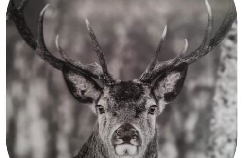 Appartements Zur Auszeit - Foto 11