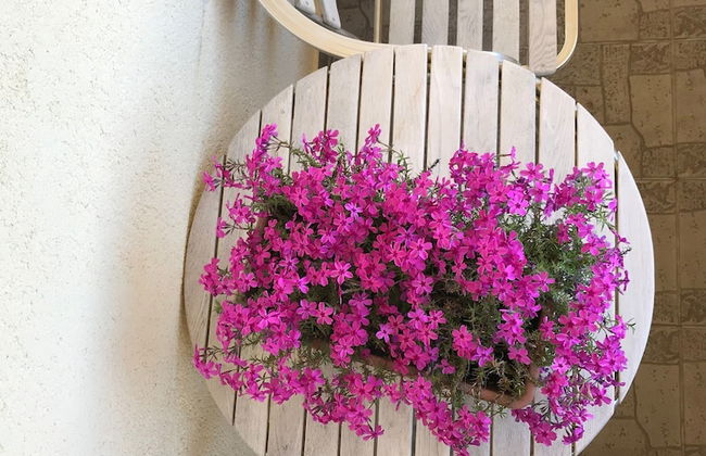 Apartments Tarcizio - Foto 44