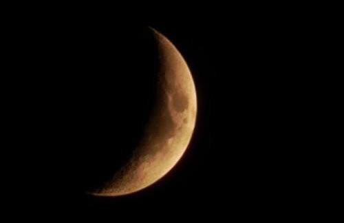 Bosko beztrosko - Foto 49