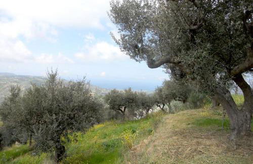 Casale Il Gheppio - Foto 6