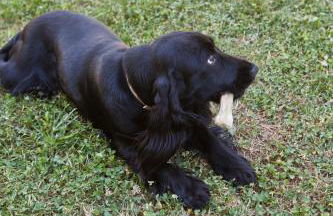 Relais Parco Del Subasio - Photo 61