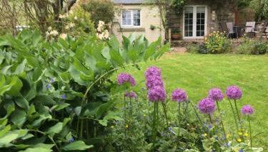 Willowherb and Foxglove Cottages Hawick - Foto 3