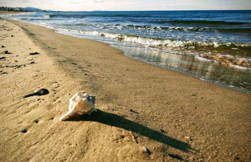 Hello Oliva Beach Roger - Photo 27