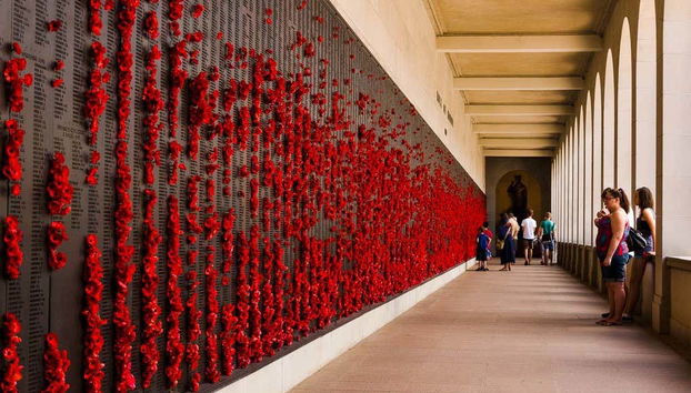 Canberra Day Trip - Foto 5