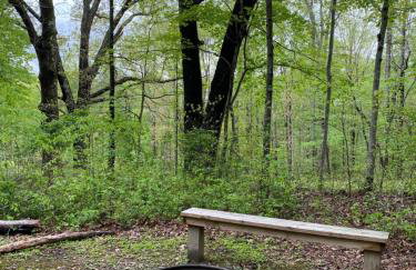 Elk - by The Chalets - Foto 18