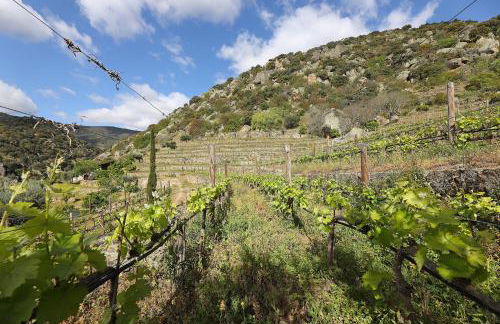 Quinta da Ferradosa Wines - Foto 50