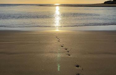 St Hilda Beach Hut Alnmouth - Foto 33