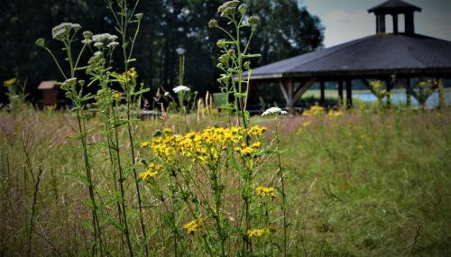 Malanówka II Radęcin - Foto 4