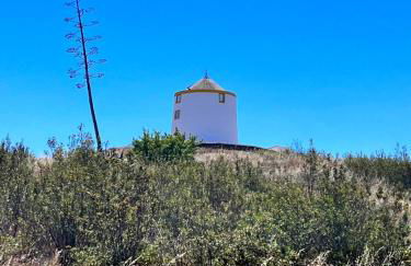 Moinho do Monte Branco - Foto 10