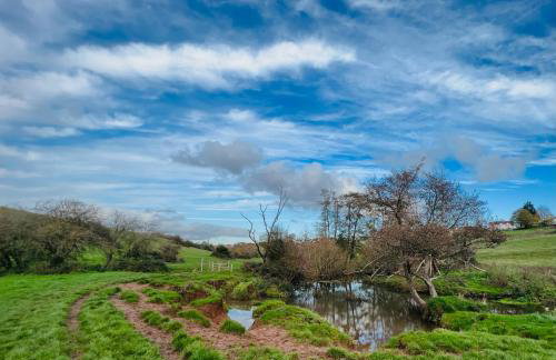 Dapps Hill Haven - between Bristol and Bath, both 9 mins by train! - Foto 62