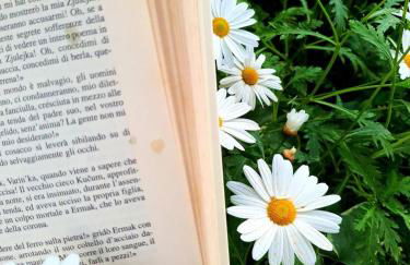 E s s e n t i a l Pompei - Foto 49