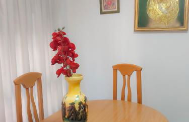 Alojamiento San Juan en Murcia Centro - Foto 14