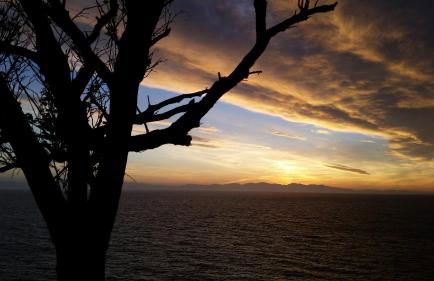 Appartamenti - Villa Mare - Foto 32