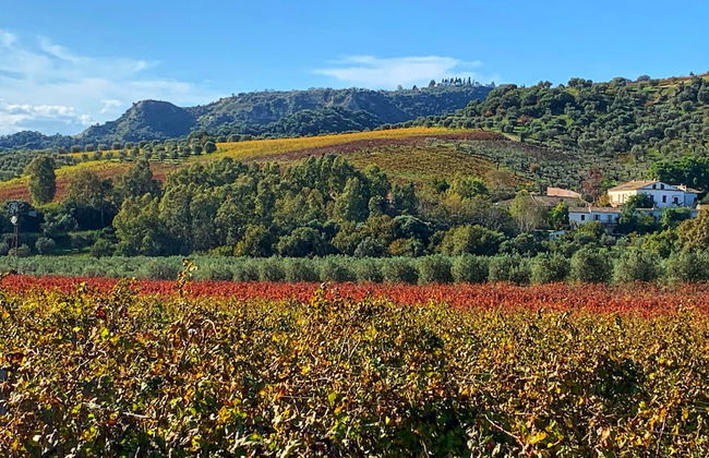 Agriturismo Dattilo - Foto 17