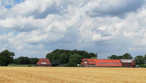 Etzel-Lodge Weideblick - Foto 4, Garden