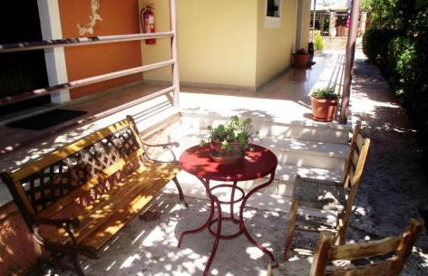 SEAHORSE healing effect - Foto 16